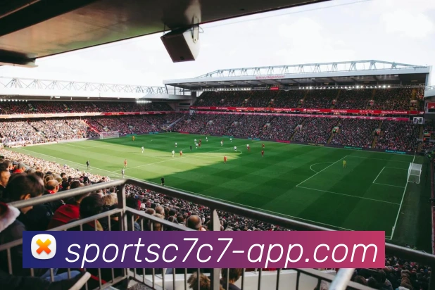 C7C7娱乐平台生态图